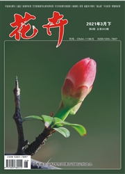 《花卉》