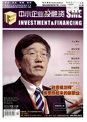 《中小企业投融资》