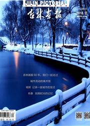 《吉林画报》