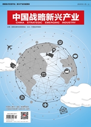 《中国战略新兴产业（理论版）》