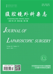 《腹腔镜外科杂志》