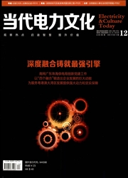《当代电力文化》