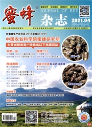 《蜜蜂杂志》
