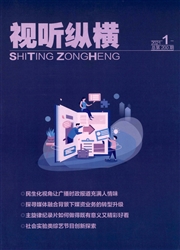 《视听纵横》