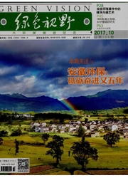 《绿色视野》