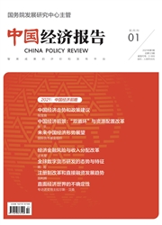 《中国经济报告》