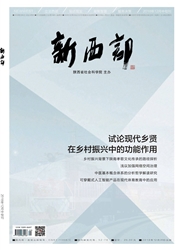 《新西部：中旬·理论》
