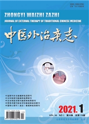 《中医外治杂志》