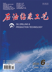《石油钻采工艺》