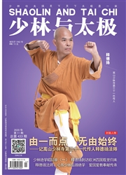 《少林与太极》