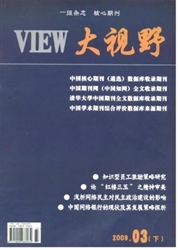 《大视野》