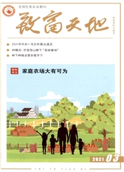 《致富天地》