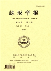 《蛛形学报》