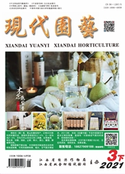 《现代园艺》