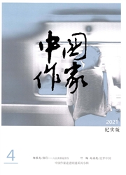 《中国作家：纪实版》