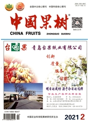 《中国果树》