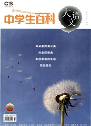《中学生百科：大语文》