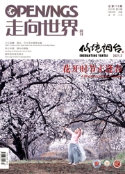 《走向世界》