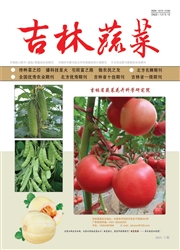 《吉林蔬菜》