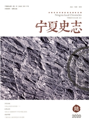 《宁夏史志》