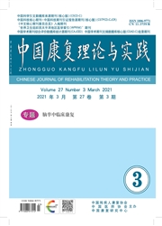 《中国康复理论与实践》