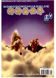 《动动画世界》