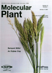 《分子植物：英文版》