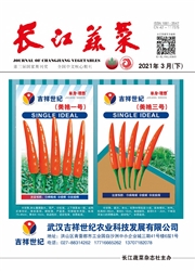 《长江蔬菜》