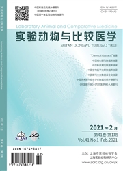 《实验动物与比较医学》