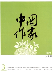 《中国作家：文学版》