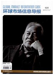 《环球市场信息导报：理论》