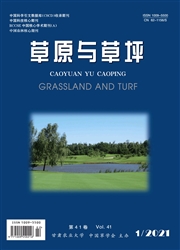 《草原与草坪》