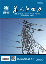 《黑龙江电力》
