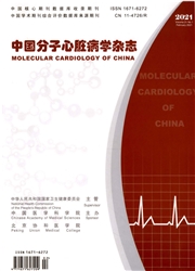 《中国分子心脏病学杂志》