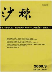 《沙棘》