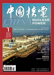 《中国核电》