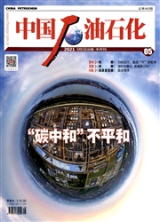 《中国石油石化》