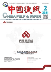 《中国造纸》