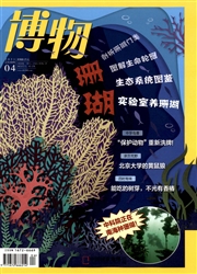 《博物》