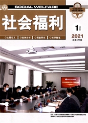 《社会福利：理论版》