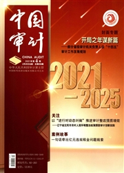 《中国审计》