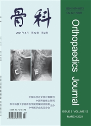 《骨科》