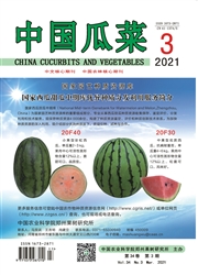 《中国瓜菜》
