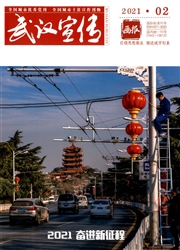 《武汉宣传》