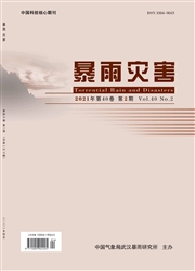 《暴雨灾害》