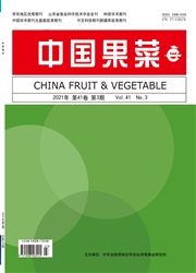 《中国果菜》