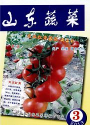 《山东蔬菜》