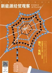 《新能源经贸观察》