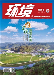 《环境》