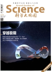《科学大观园》